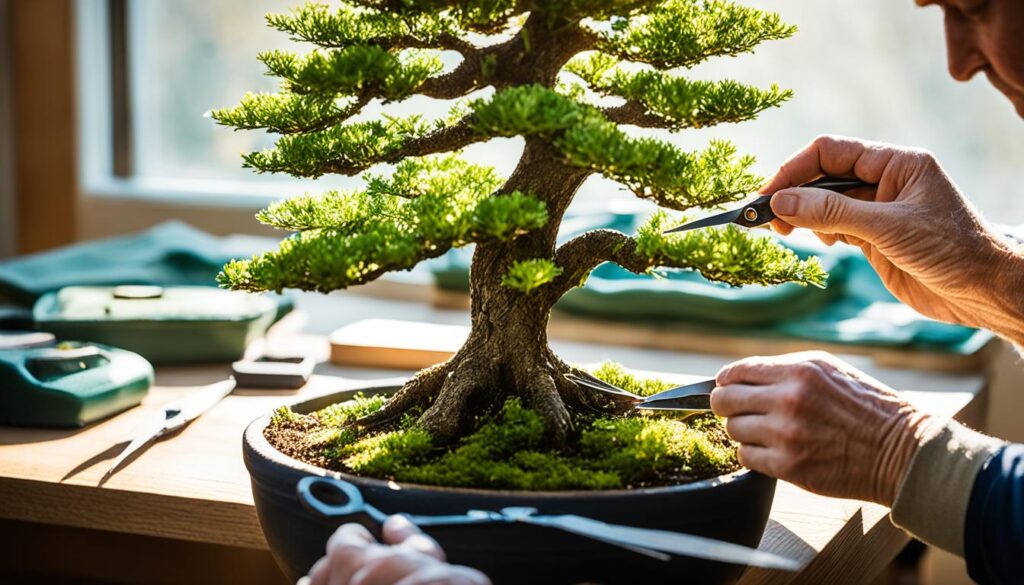 bonsai care maintenance