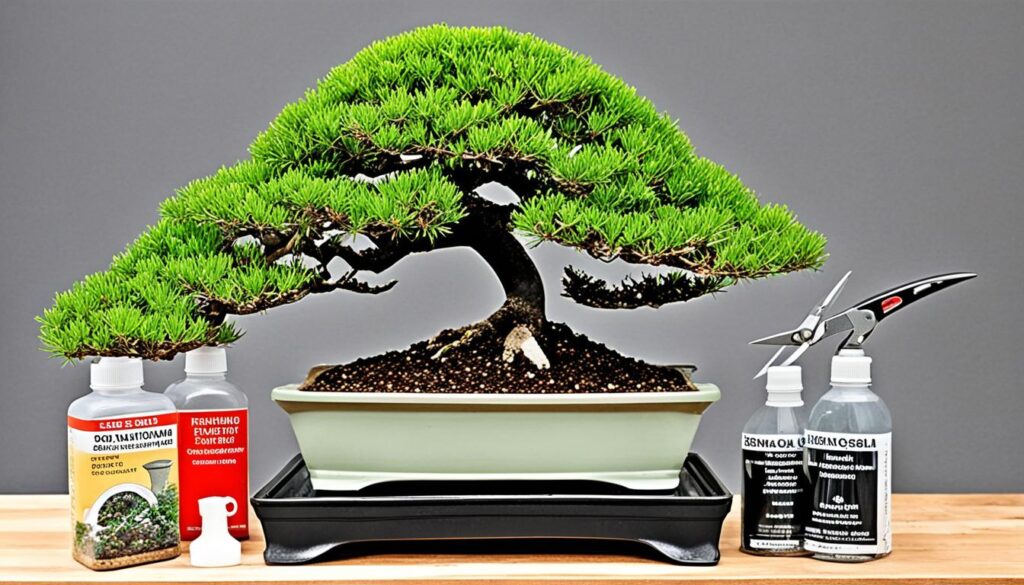 bonsai tools