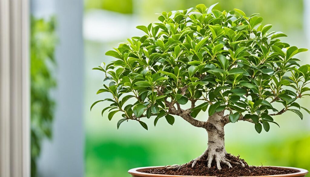 Ficus Bonsai Pest and Disease Management