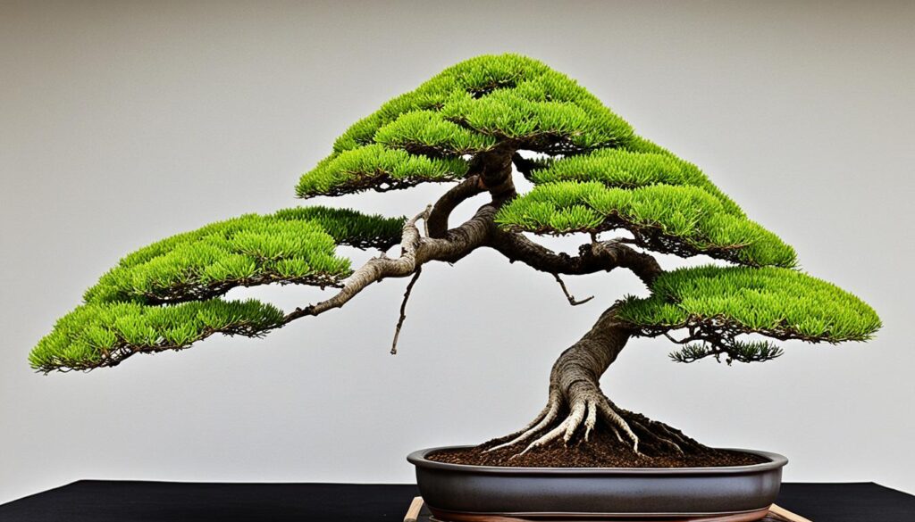 John Naka bonsai