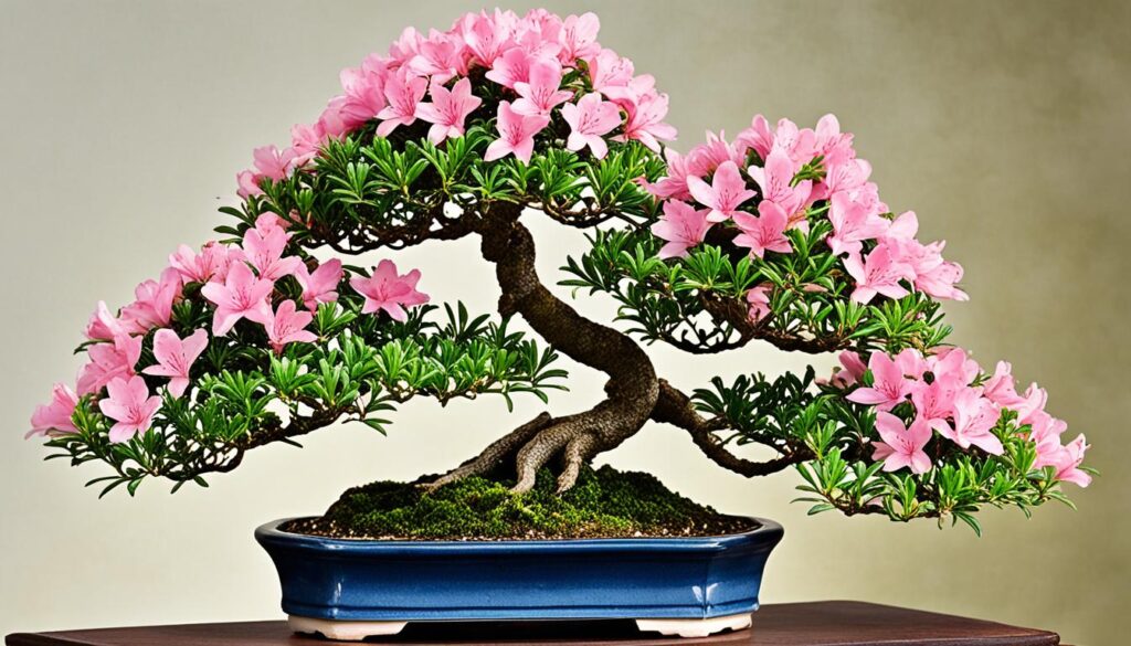 bonsai azalea