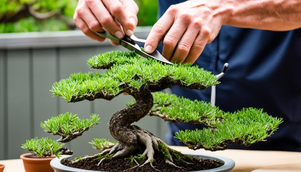 bonsai styling techniques