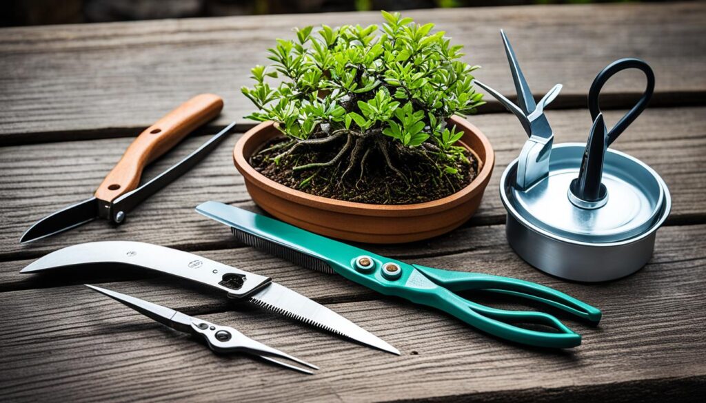 bonsai tools