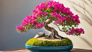 bougainvillea bonsai