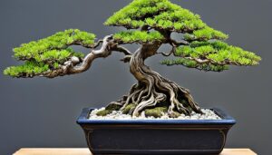 how long do bonsai trees live