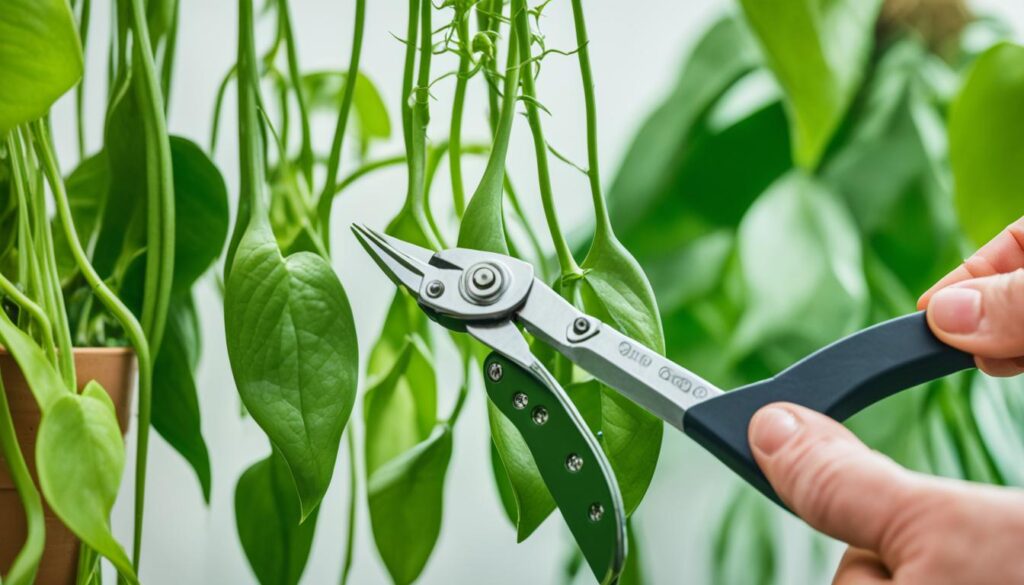 how to trim pothos