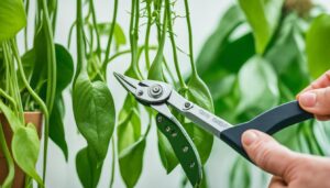 how to trim pothos