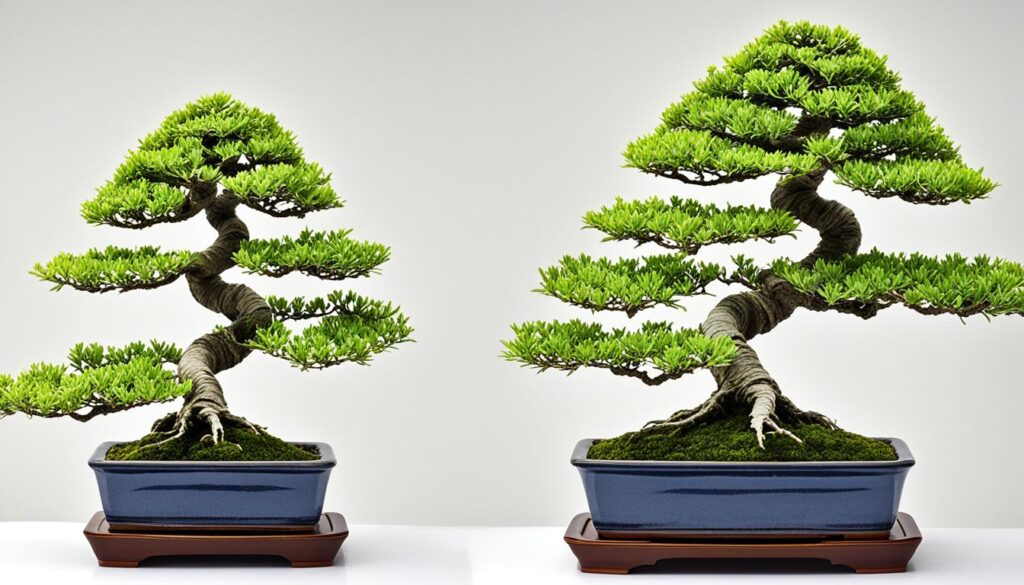 literati bonsai