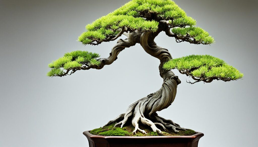 literati bonsai trunk design