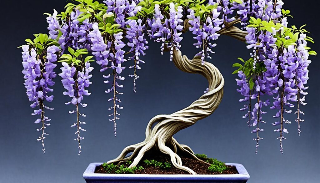 wisteria bonsai