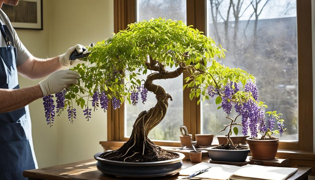 wisteria bonsai potting