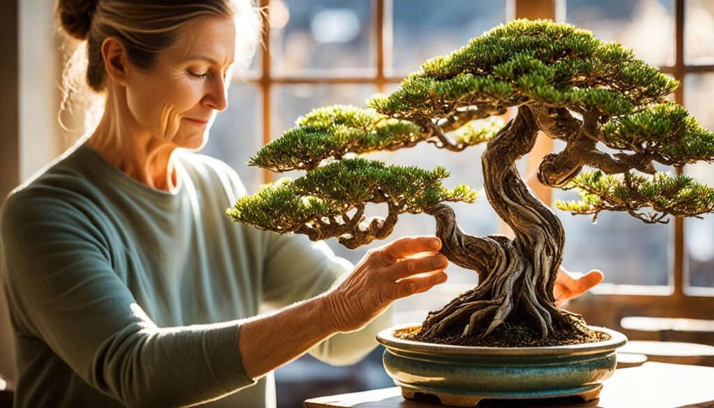 Caring for Centenarian Bonsai