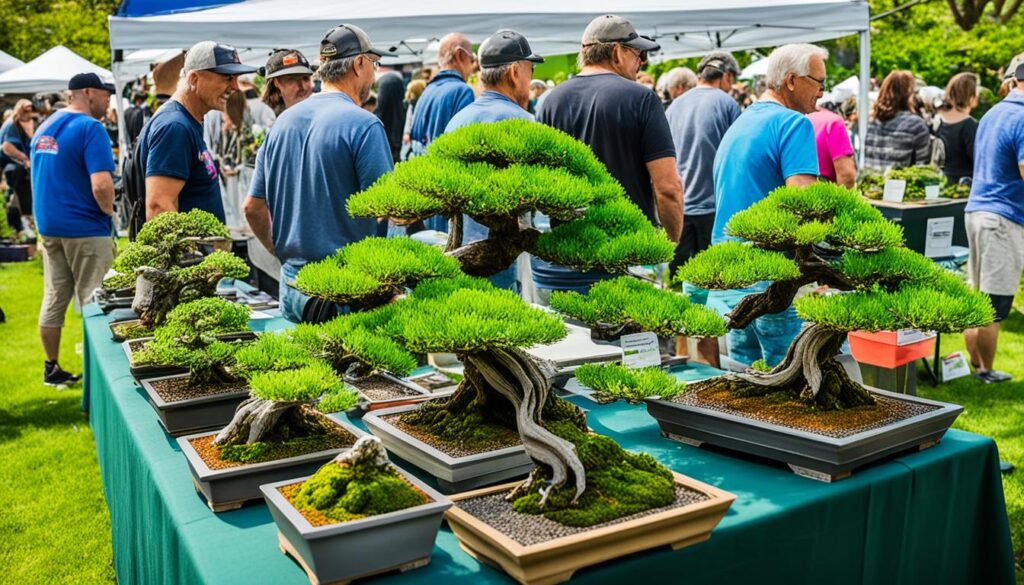 bonsai-clubs-and-events