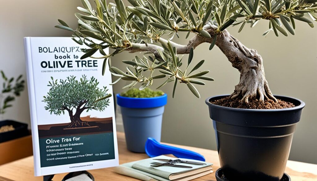 olive bonsai resources