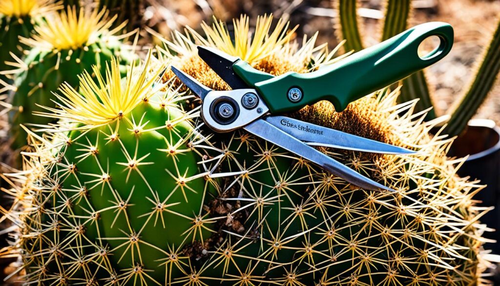 pruning golden barrel cactus