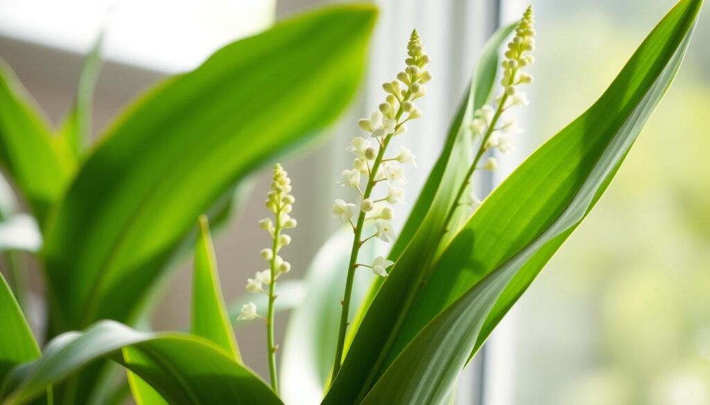 Snake Plant Blooming