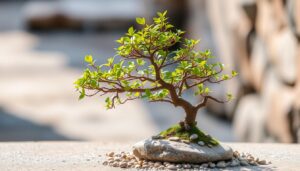 bonsai tree small