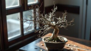 dying bonsai